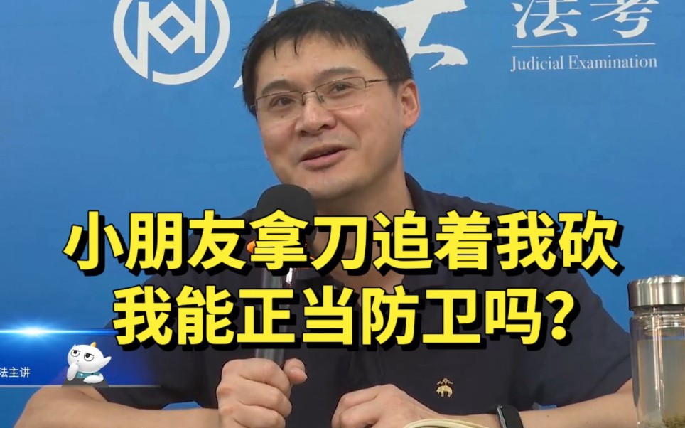 【罗翔】小朋友拿到追着我砍,我能正当防卫吗?