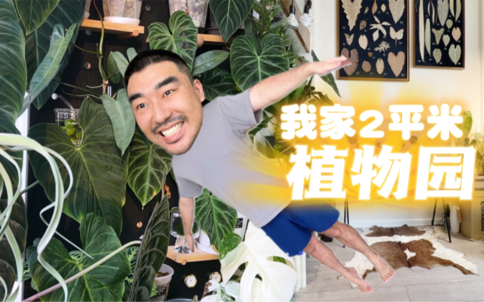 [图]一不小心，在37平的小屋圈养了80多种植物！