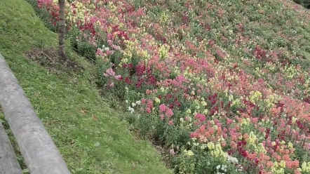 [图]田园风格的郊游