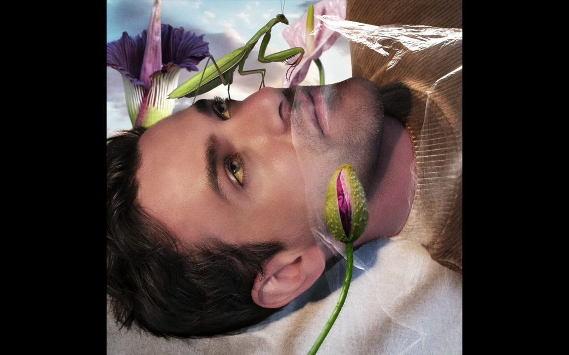 josef salvat - promiscuity (audio)