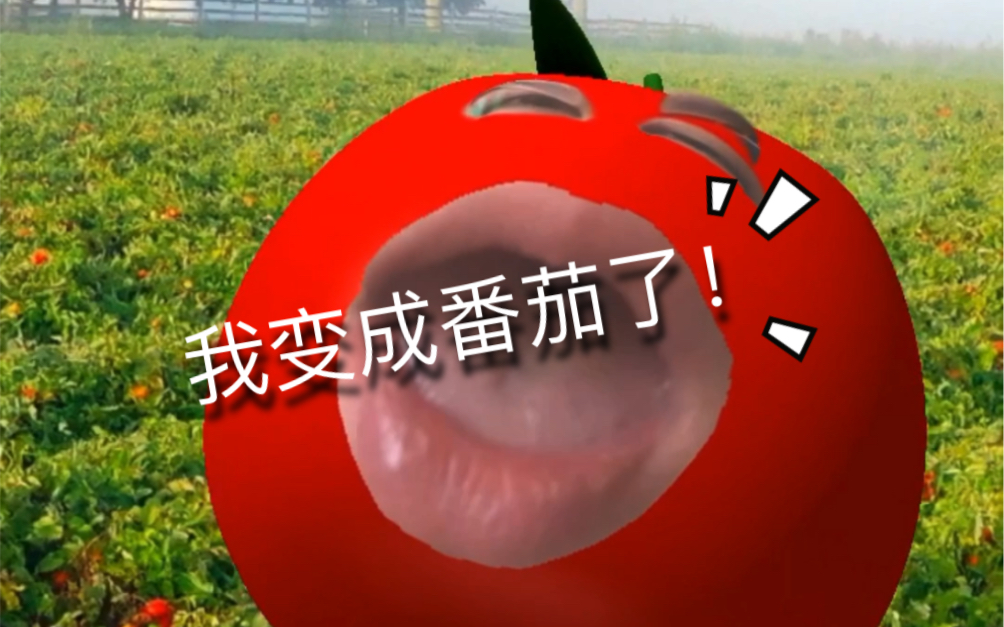 ins的番茄特效也太太太沙雕了吧