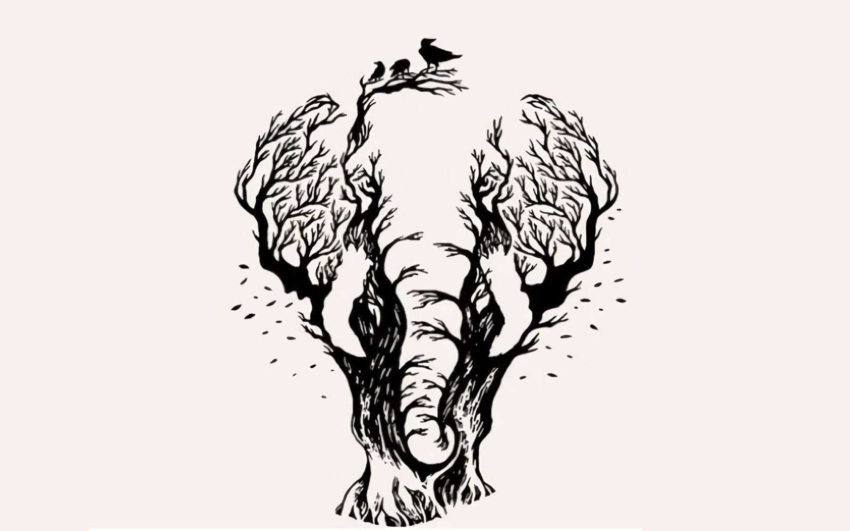 你第一眼看到了什么?测试你的杠精程度