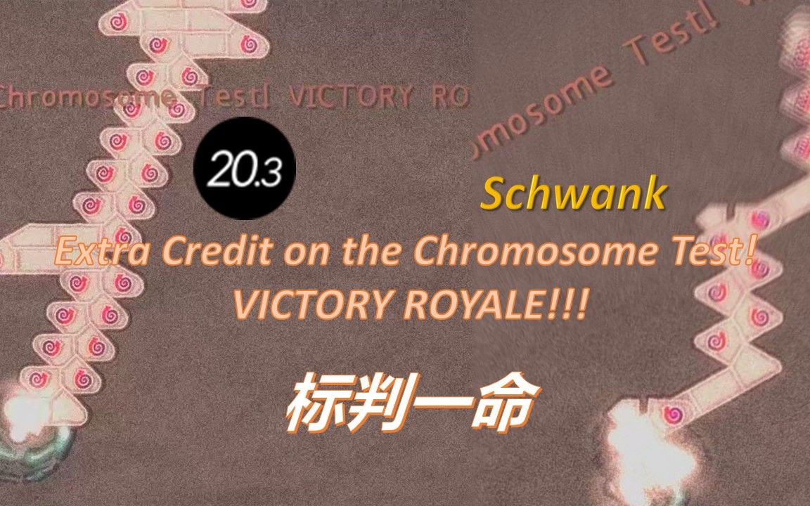 【冰与火之舞/全国首通标判】极其阴间的8指拉链与变速!Extra Credit on the Chromosome Test! VICTORY ROYALE!!音游热门视频