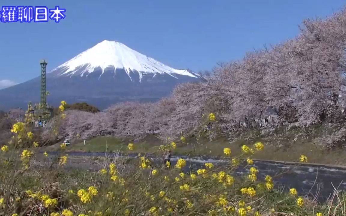 富士山是私人的?活火山?山顶竟然能举办婚礼?富士山的五个秘密哔哩哔哩bilibili