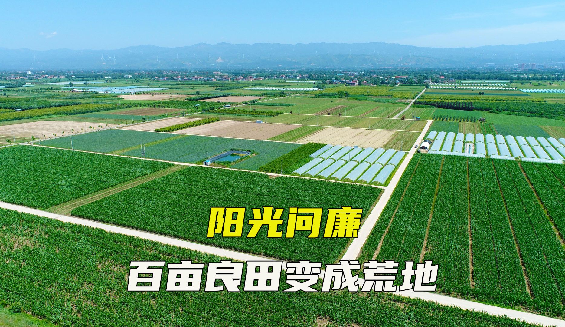 阳光问廉:百亩良田变成荒地