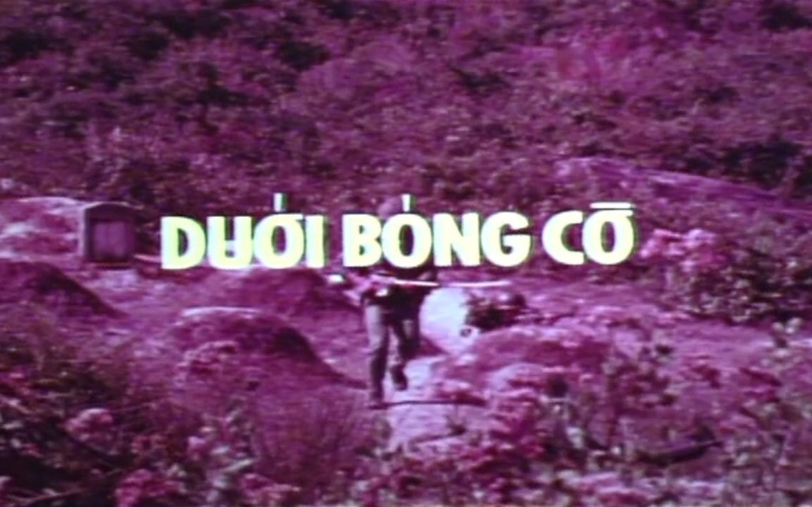 [图]【南越纪录片】DƯỚI BÓNG CỜ (1972)