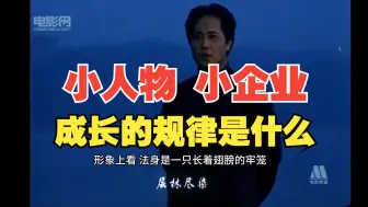 下载视频: 毛选+创业：关于小企业与小人物的成长规律