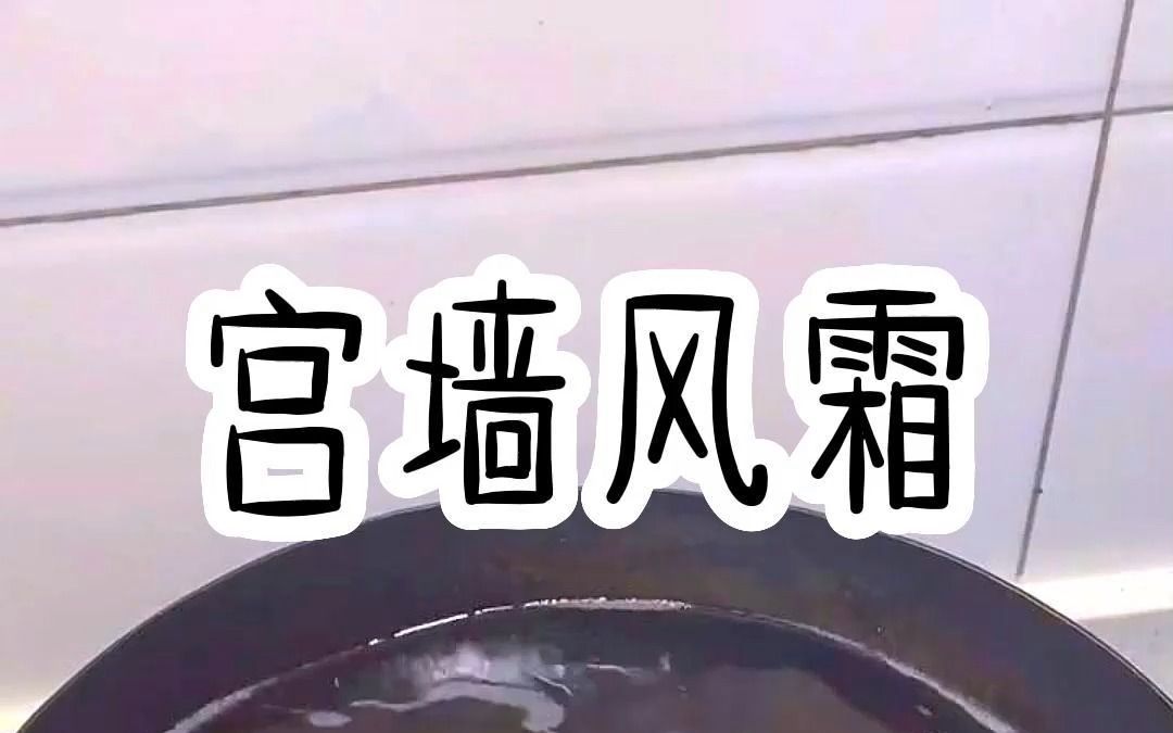 宫墙风霜哔哩哔哩bilibili