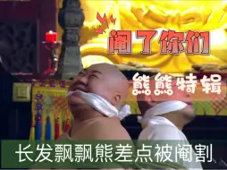 Download Video: 【熊熊特辑】长发飘飘熊差点被阉割，蟹蟹老铁，天空的天空