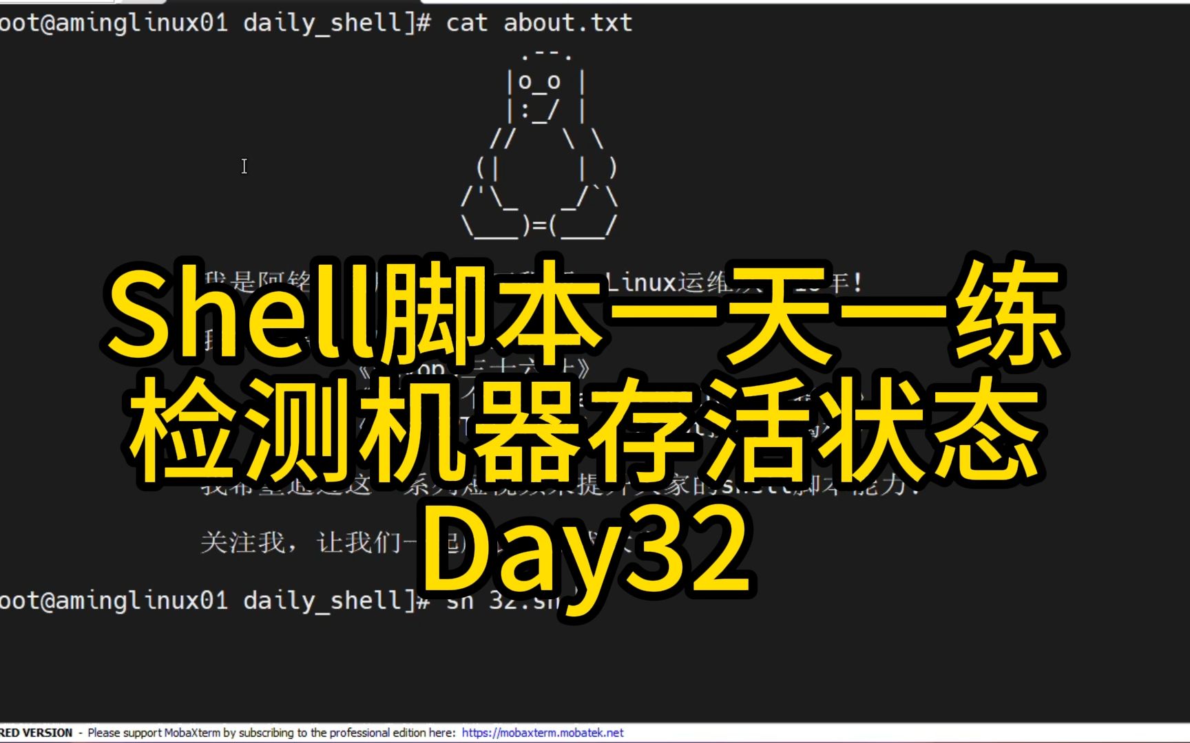 Shell脚本一天一练Day32检测机器存活状态哔哩哔哩bilibili