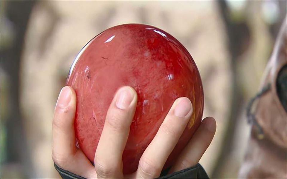 宇文拓成功炼成万灵血珠,却丢失了五神器,仙人再次指路