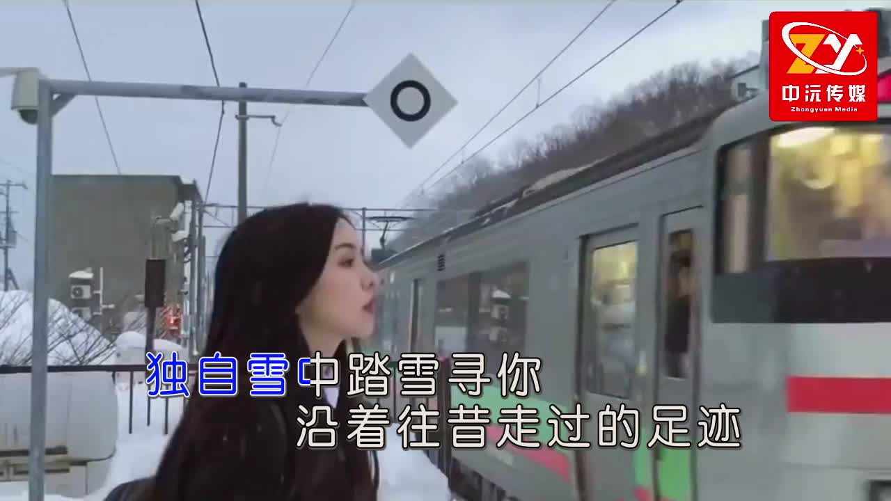 [图]踏雪寻你 演唱 踏雪韵梅 作词 黄诚