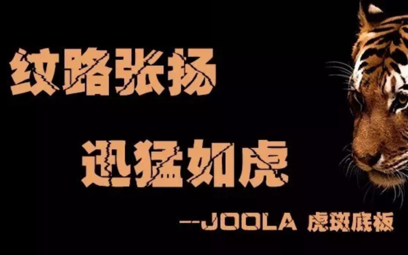 JOOLA 优拉 虎斑哔哩哔哩bilibili