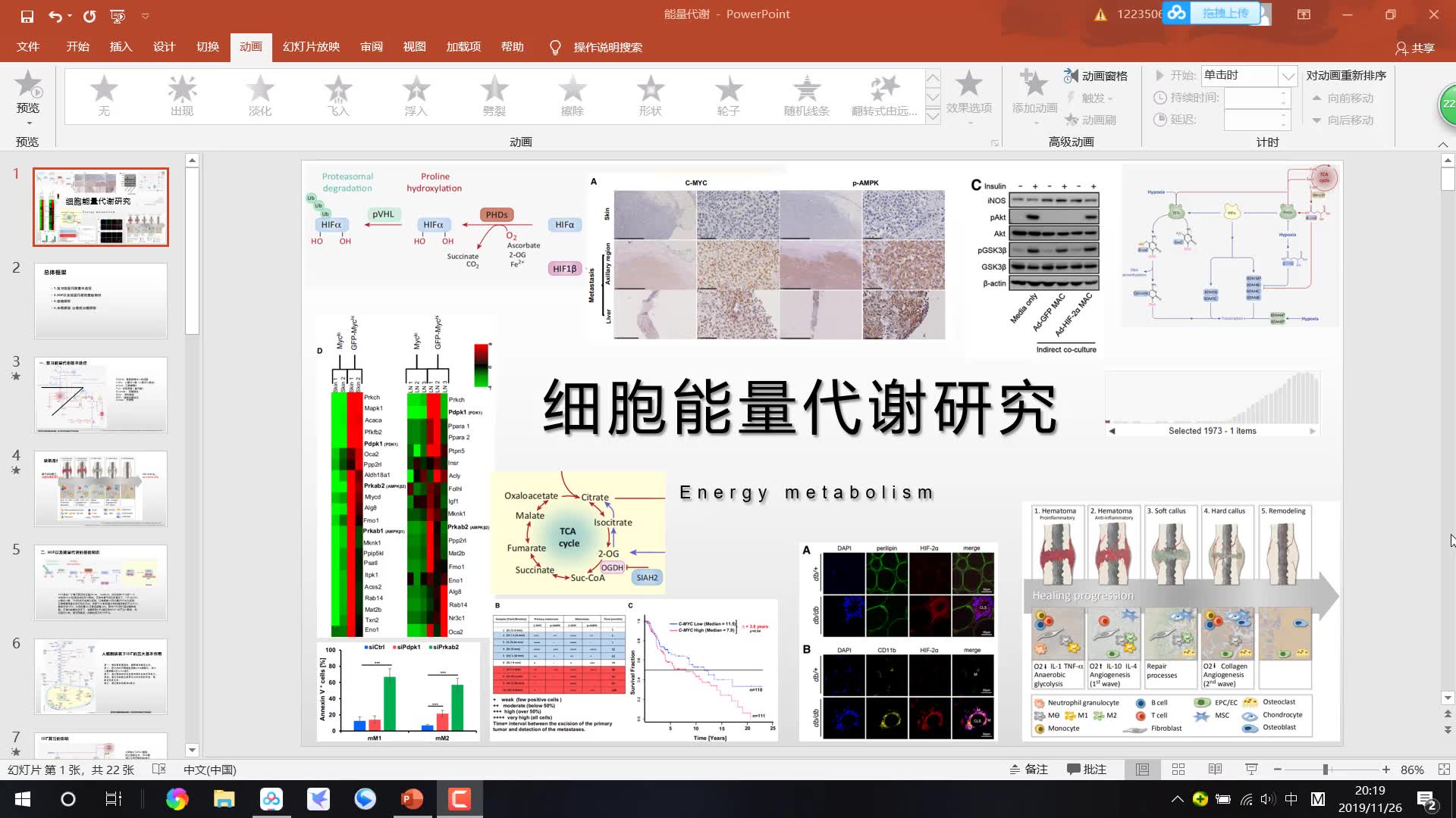 [图]细胞能量代谢研究 HIF  Energy metabolism