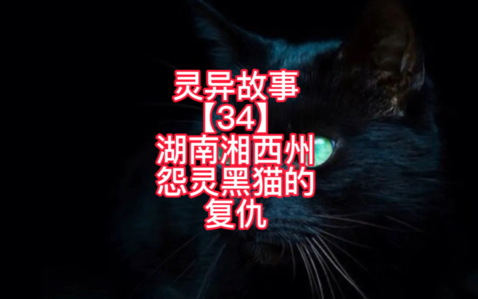 [图]灵异故事【34】| 湖南湘西州怨灵黑猫复仇事件 #灵异 #真实灵异事件 #灵异事件 #恐怖故事