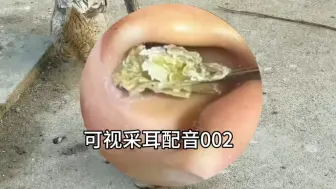 采耳解压（后期配音）002！用鸭鸭当背景！没有意见吧