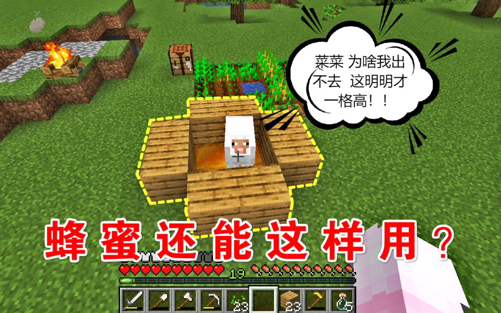 我的世界生存日记第二季08蜂蜜还能这样用真是养殖畜牧好帮手