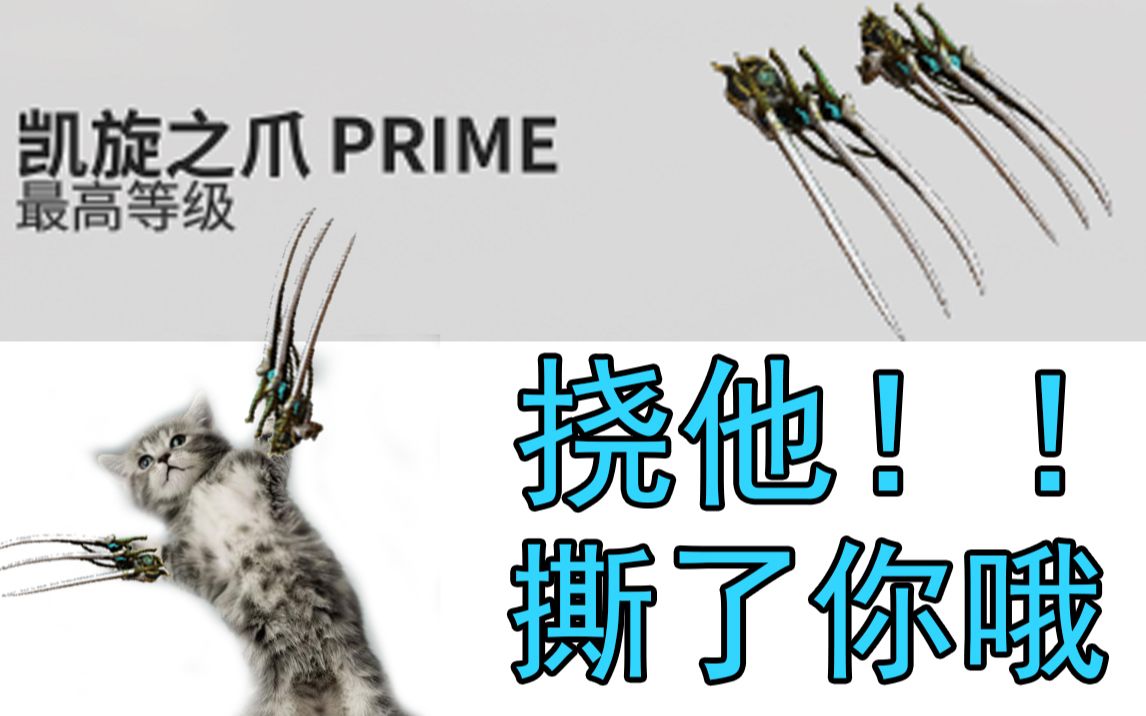 黑虎掏心!我这一爪子下去!挠死你哦!【武器配卡参考】【无紫卡】