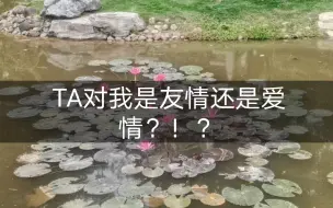 Download Video: TA对我是友情还是爱情？！！【在TA眼里我是个怎样的人？】///七个选项哈哈哈///大家选好就可以去看了，希望大家越来越好～【大众•娱乐•占卜】