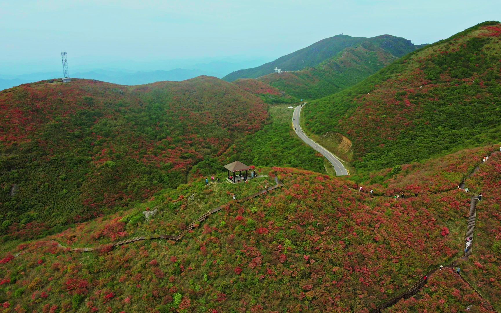 [图]大围山映山红航拍