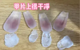 Descargar video: 【产品选择&操作教程】可剥底胶+固态贴片胶贴穿戴甲，剥下来超完整！甲片可以循环利用～长视频超详细教程