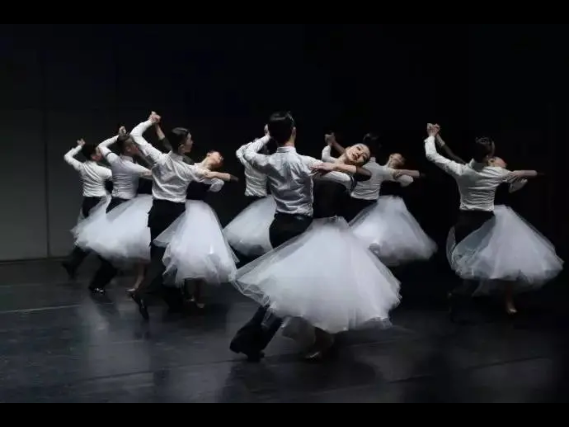 鸽子翻跳大赛1_哔哩哔哩 (゜-゜)つロ 干杯~-bilibili