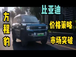 Download Video: 比亚迪降价与升级的进击之路，方程豹豹5官降5万！