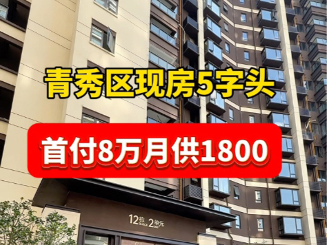 青秀区单价5字头,首付8万月供1800,还是读南宁前十民主路小学,现房可以实地上楼看房#南宁买房#南宁现房哔哩哔哩bilibili