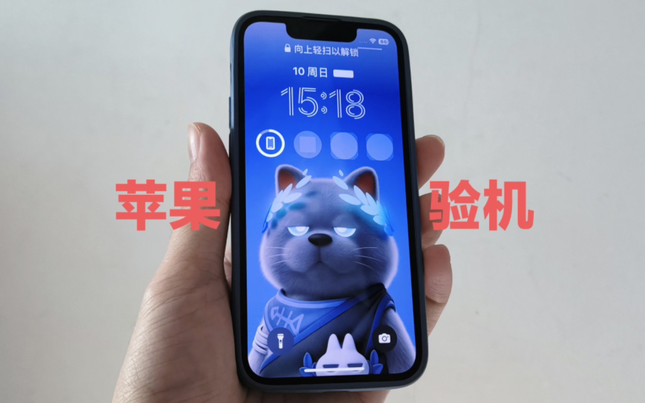 《我总结的20步苹果验机步骤分享,二手苹果13mini验机为例》