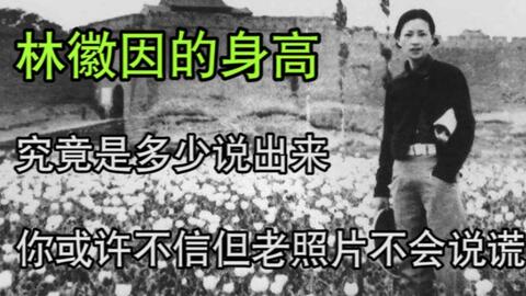 林徽因名言 哔哩哔哩