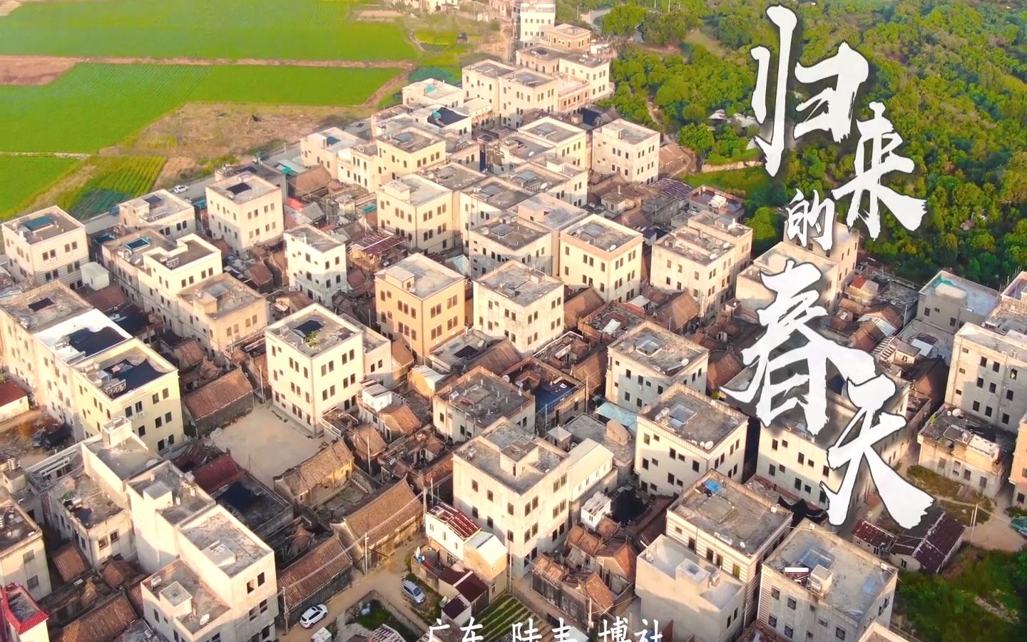 陆丰博社村纪录片图片