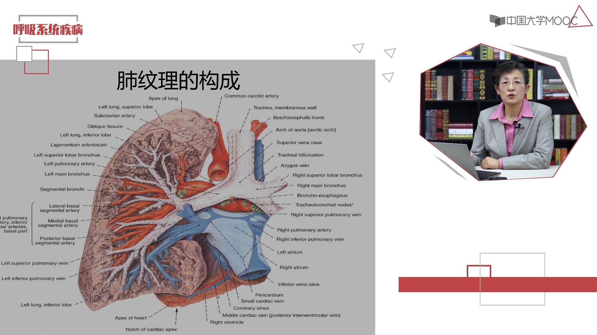 [1.1.1]第一周1呼吸系统总论杨艳平视频哔哩哔哩bilibili