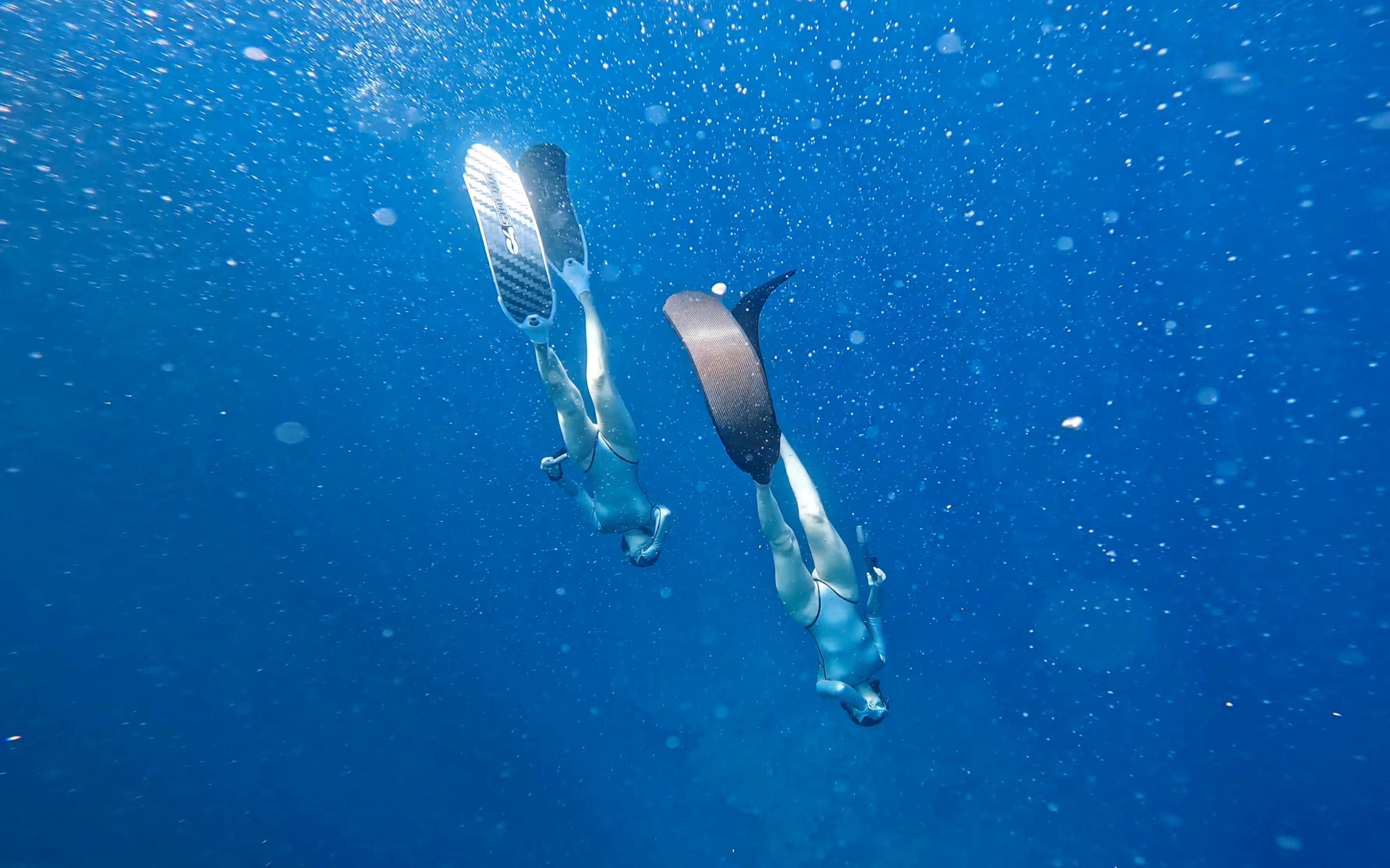 冲绳自由潜水这是要一起潜过多少次水才能有的默契呀