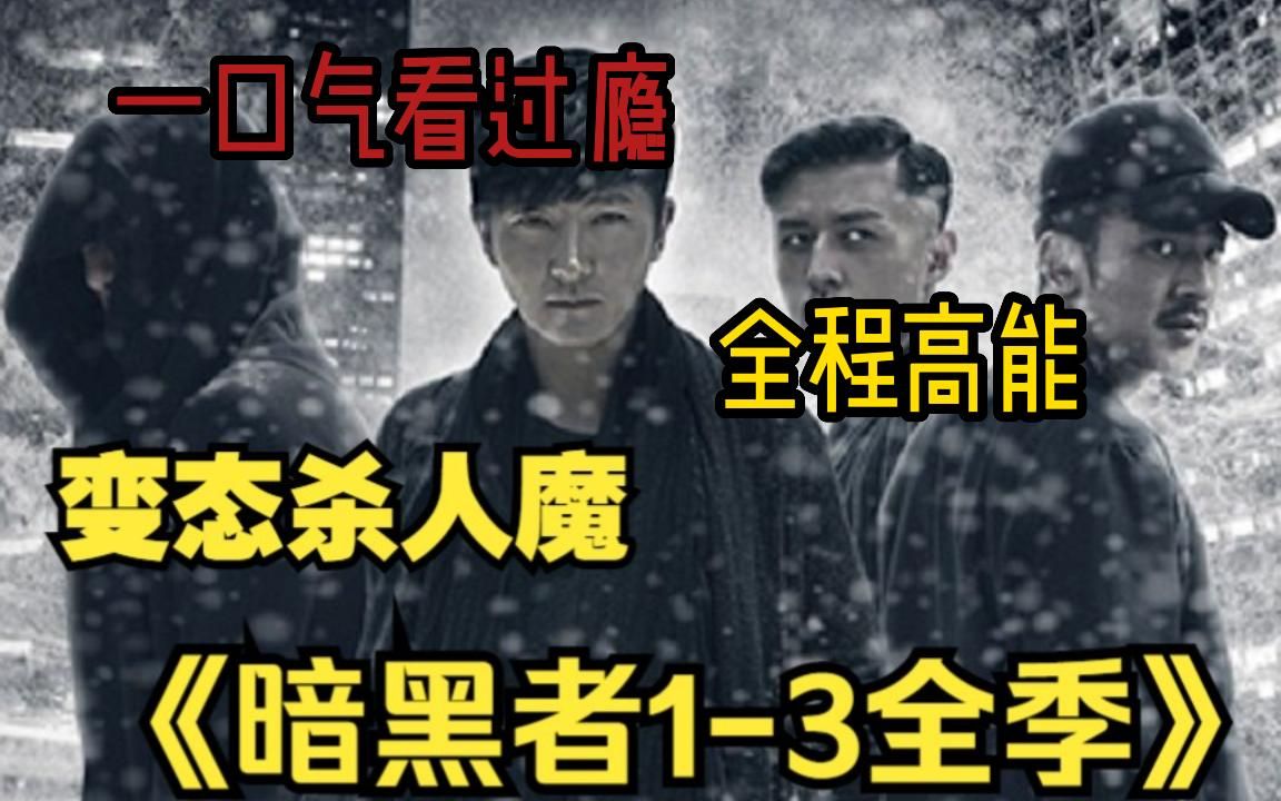 【8小时】一口气带你看完经典国产悬疑电影《暗黑者》13季 全程高能 连环凶杀案哔哩哔哩bilibili