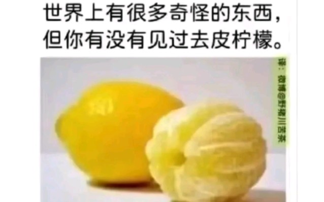 [图]meme梗图合集