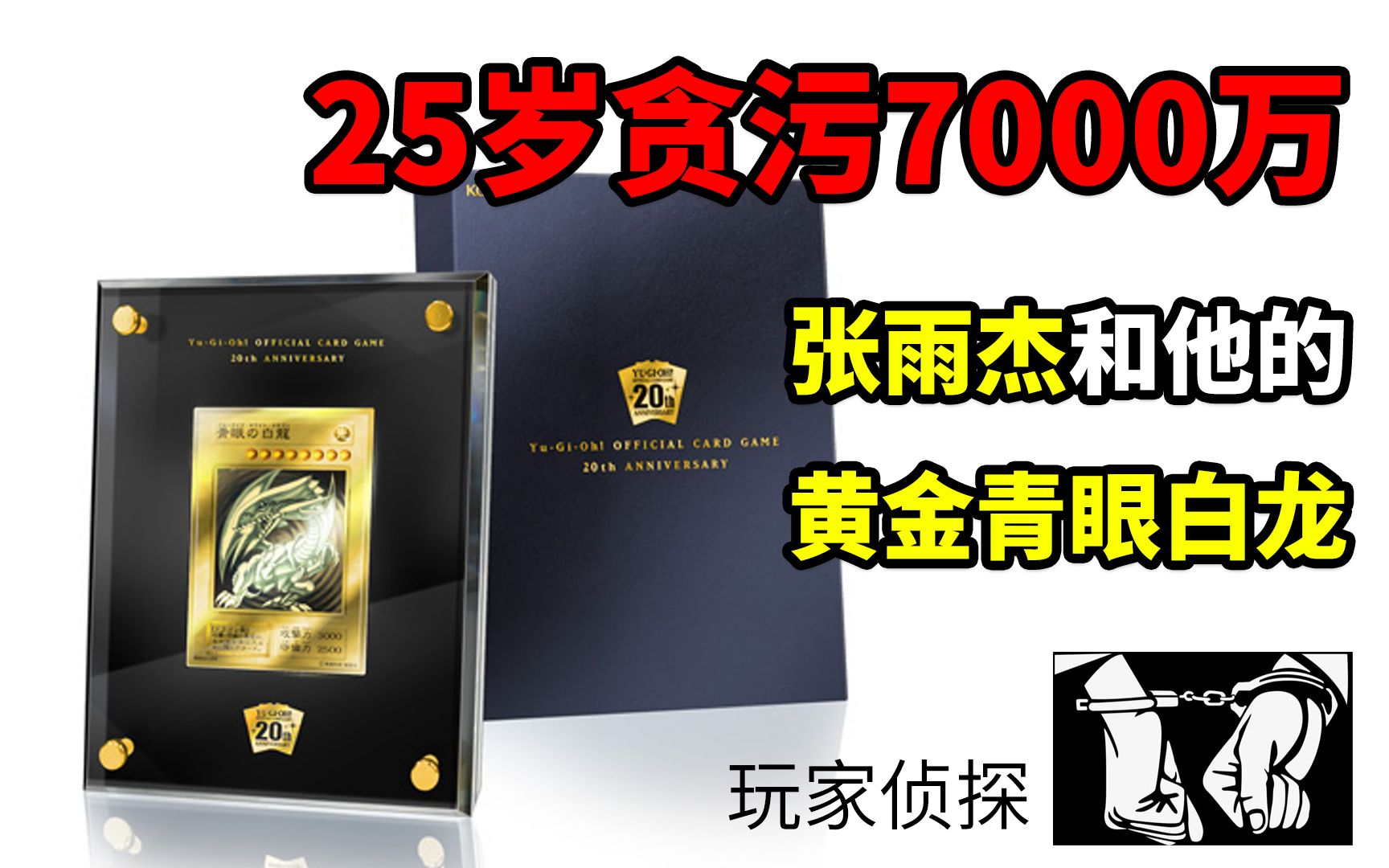 25岁贪污7000万,张雨杰和他的黄金青眼白龙【玩家侦探02】哔哩哔哩bilibili