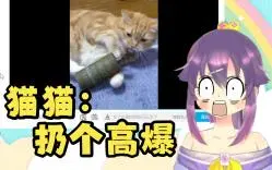 Download Video: 超喜欢猫的冲绳日V看“猫咪拆家大赏”！她会？？？【水云浅】