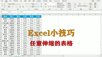 Descargar video: excel小技巧：任意伸缩的表格，升职加薪系列