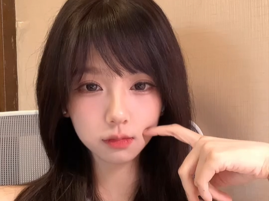 抖音小豚豚豚鼠20240520