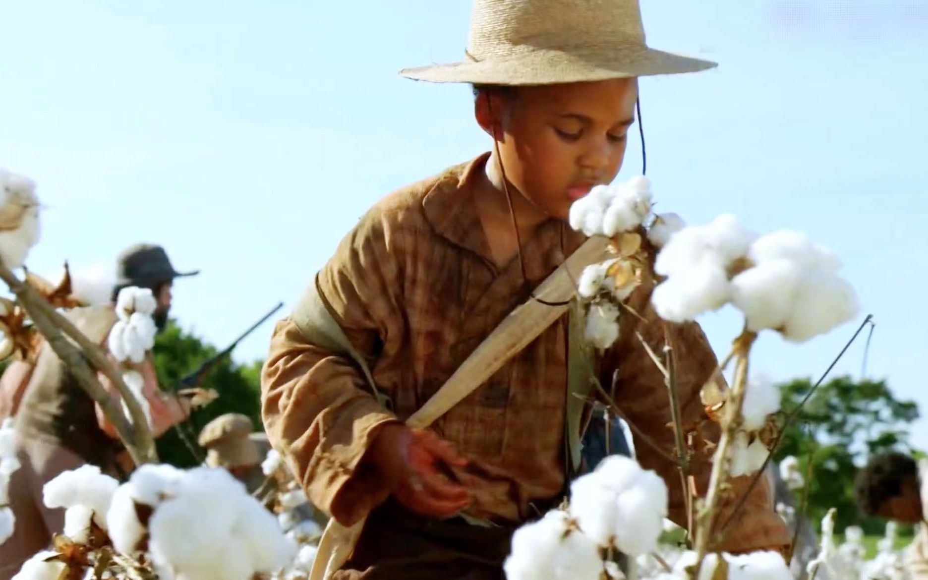 颠覆三观的黑白理念,八岁黑人男孩被迫摘棉花,美剧
