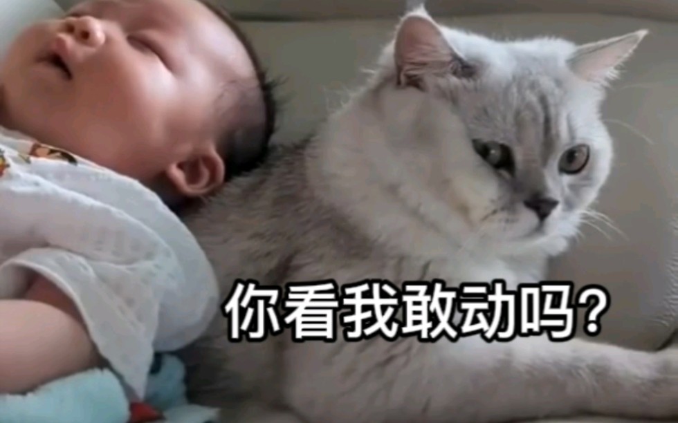 [图]猫:真搞不懂你们这些小脑袋瓜到底在想什么？