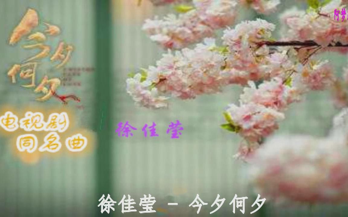 今夕何夕(电视剧《今夕何夕》主题曲  徐佳莹)哔哩哔哩bilibili