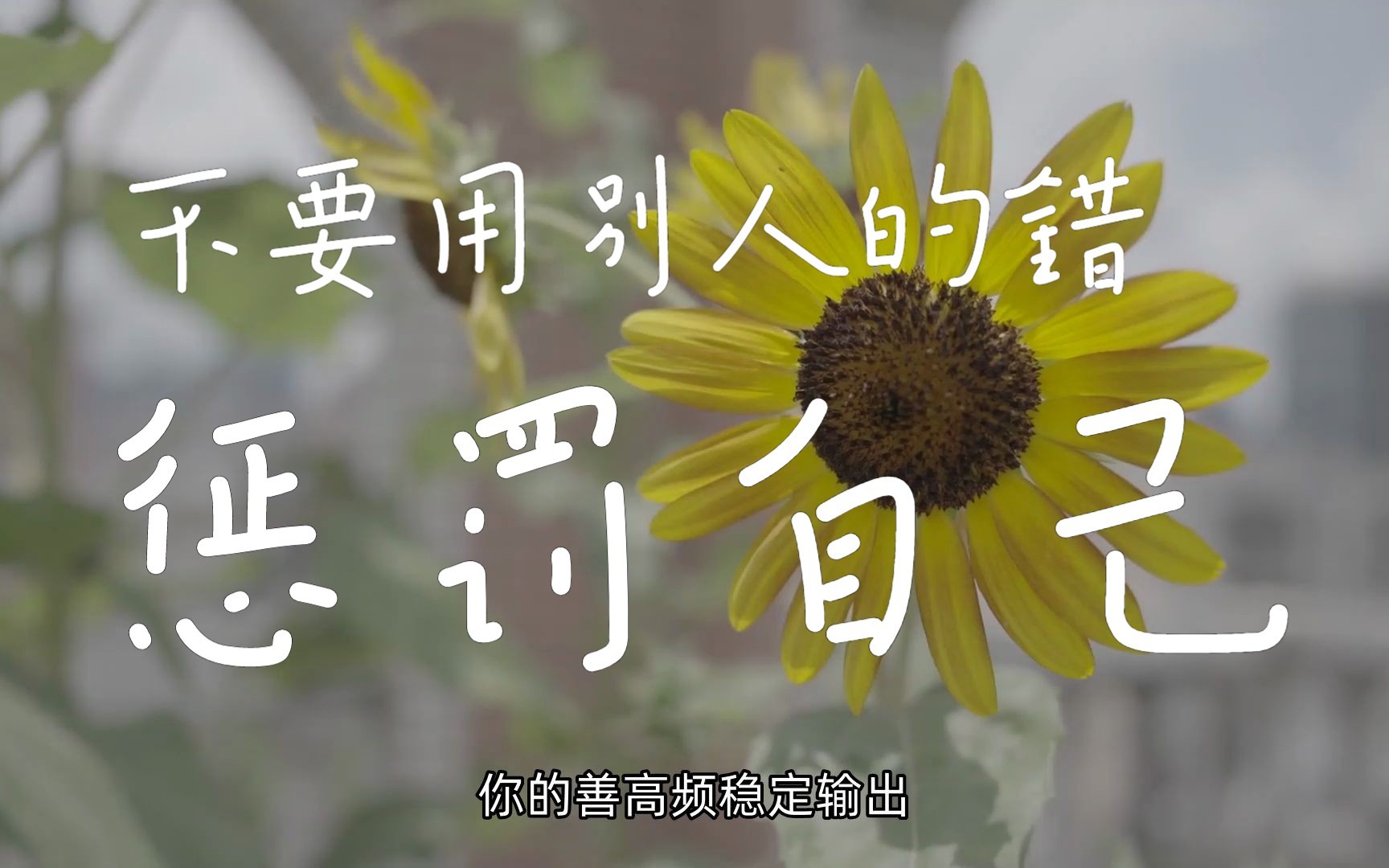 不要用别人的错惩罚自己