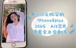 Download Video: 闲鱼800元购买的iPhone8plus，256g大内存才800元？看会不会翻车。