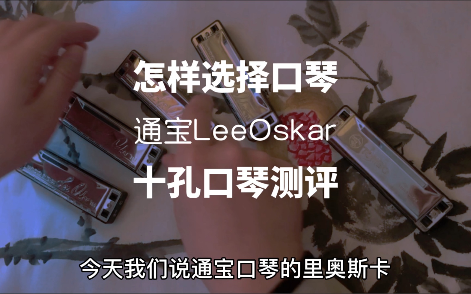 十孔口琴测评 怎样选择口琴 通宝LeeOskar哔哩哔哩bilibili