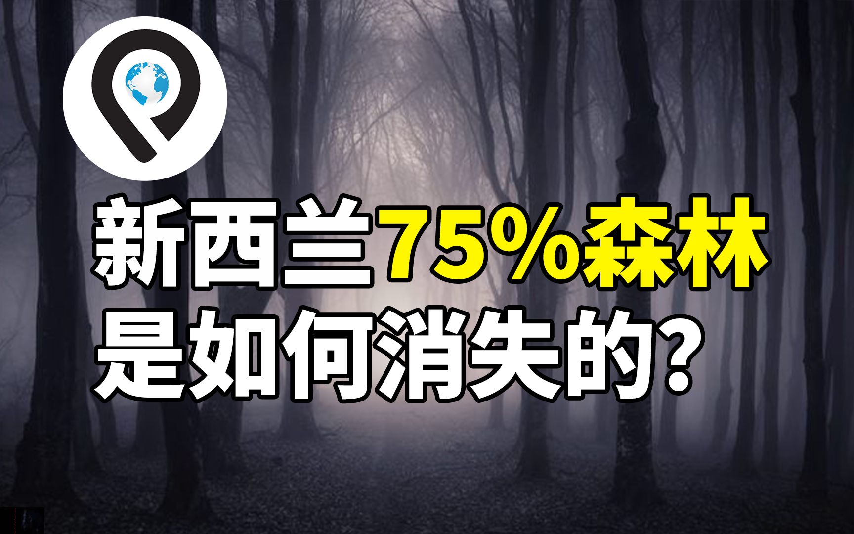 新西兰森林的消失|瞧瞧当年毛利人的生存能力哔哩哔哩bilibili