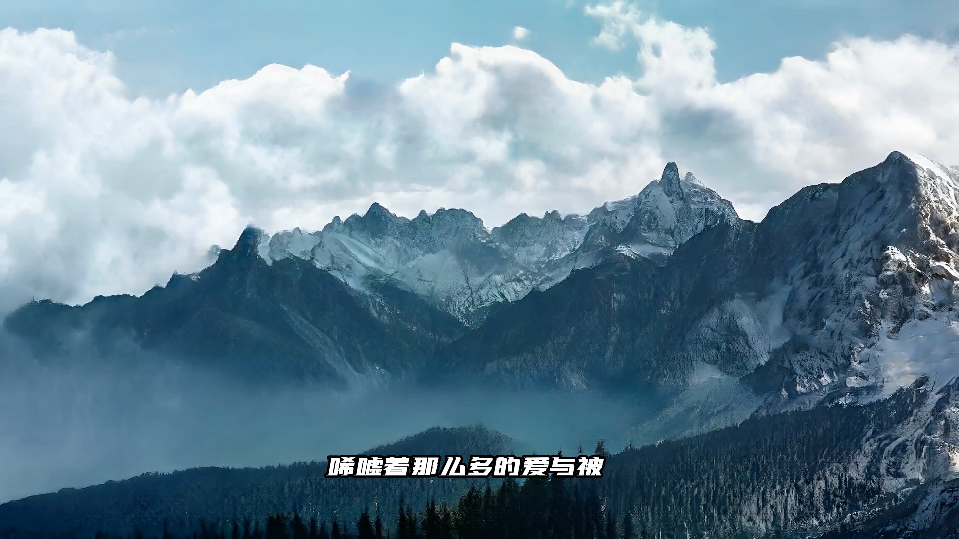 等风来 最近超喜欢