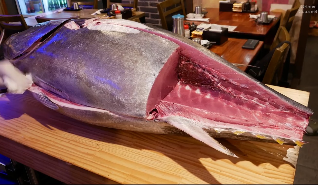 看顶级食材金枪鱼是如何被日本师傅分割开卖,每切一刀都有讲究