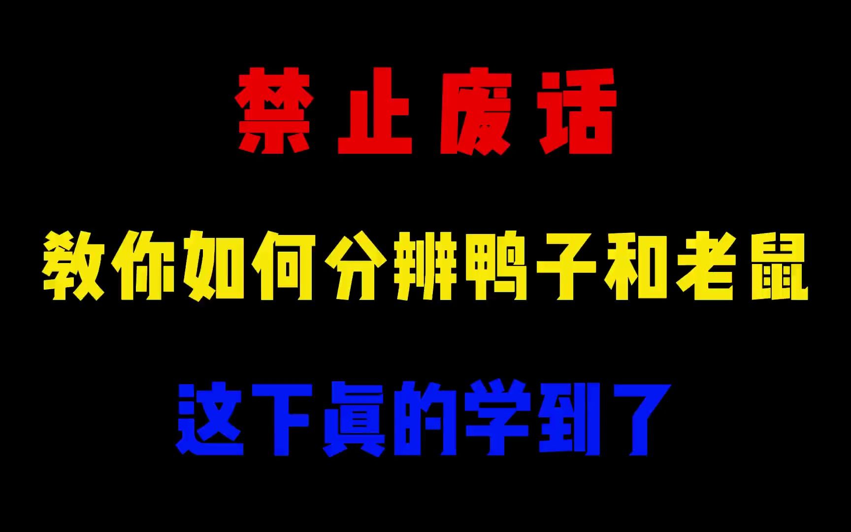 省流:教你如何分辨鸭子和老鼠哔哩哔哩bilibili