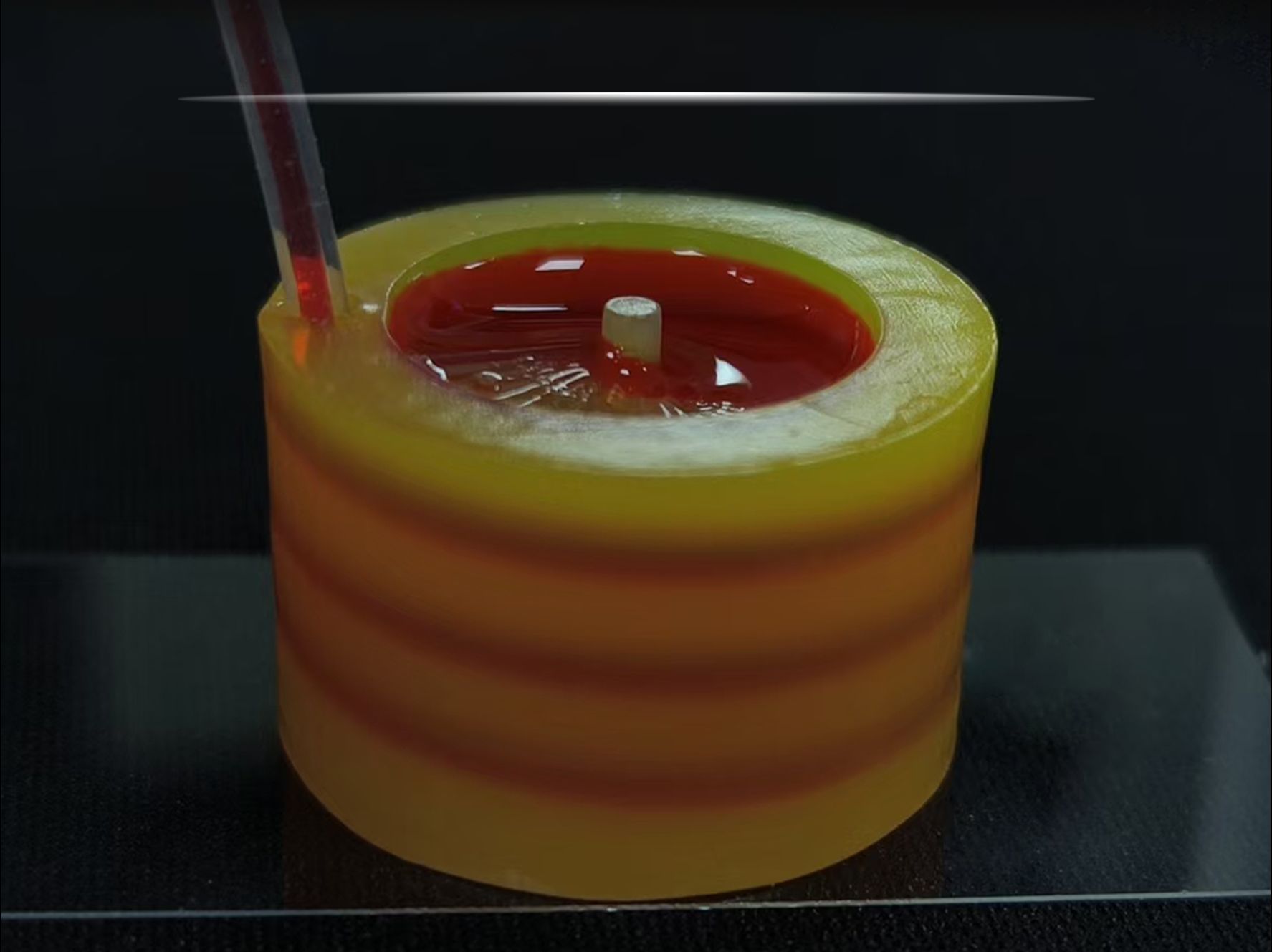 【efl产品介绍】投影式光固化生物3d打印应用:海螺状生物支架打印